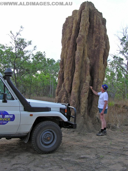 502x677 pixels (204K)